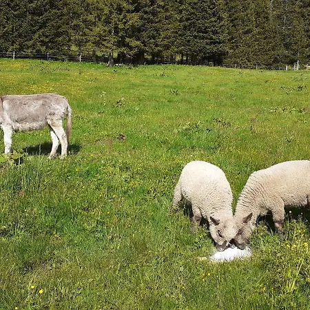 Nyaraló Lachtalhuette Lachtal