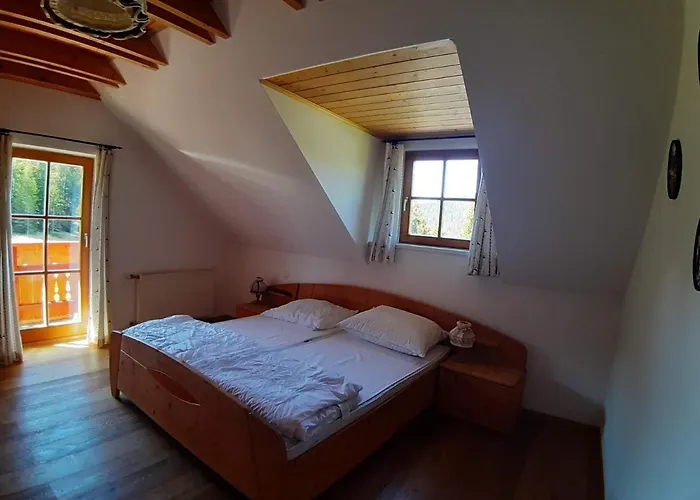 Dom wakacyjny Lachtalhuette *