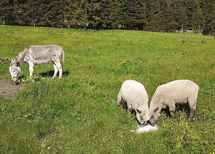 Dom wakacyjny Lachtalhuette Lachtal